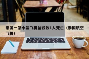 泰国一架小型飞机坠毁致1人死亡（泰国航空飞机）