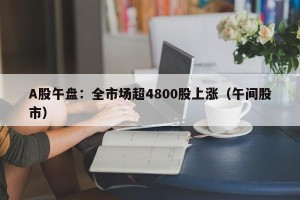 A股午盘：全市场超4800股上涨（午间股市）