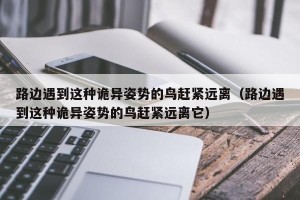 路边遇到这种诡异姿势的鸟赶紧远离（路边遇到这种诡异姿势的鸟赶紧远离它）