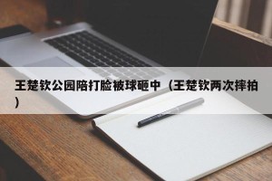 王楚钦公园陪打脸被球砸中（王楚钦两次摔拍）