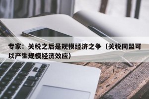 专家：关税之后是规模经济之争（关税同盟可以产生规模经济效应）