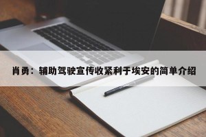 肖勇：辅助驾驶宣传收紧利于埃安的简单介绍