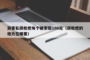 游客私摘枇杷每个被索赔100元（摘枇杷的地方在哪里）