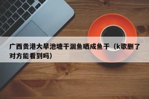 广西贵港大旱池塘干涸鱼晒成鱼干（k歌删了对方能看到吗）
