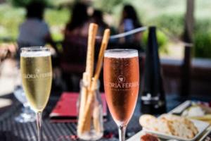 世界杯足球让盘，一场改变胜负的公平游戏世界杯足球让盘