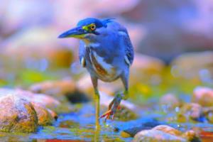 C罗世界杯视频，一场关于力量与优雅的较量c罗世界杯视频