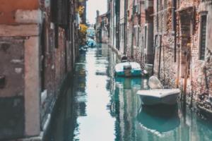 世界杯首日,激情与期待的完美交织世界杯首日